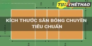 Tiêu chuẩn và yêu cầu kích thước sân bóng chuyền hơi