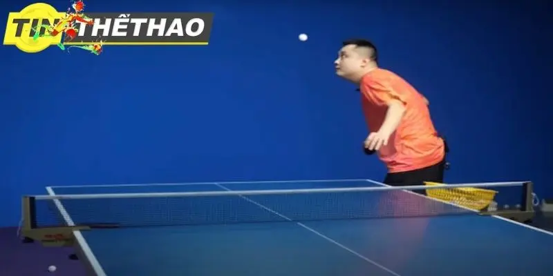Các chiến thuật trong bóng bàn